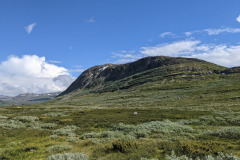 PXL_20210704_145248657